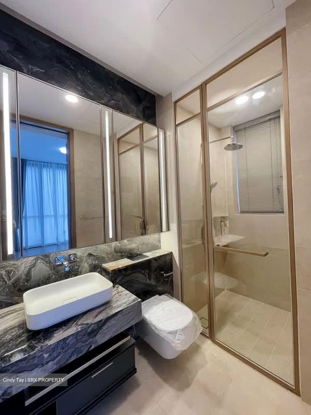 The Avenir (D9), Condominium #584005791